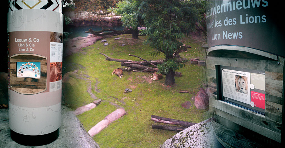Leeuwenverblijf, Zoo Antwerpen